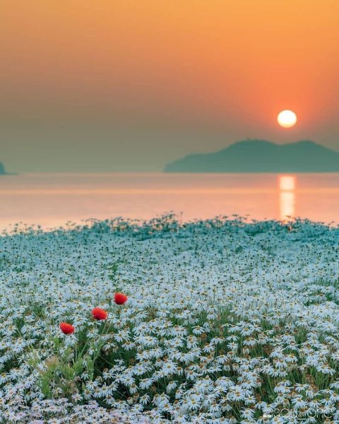 Природа солнце