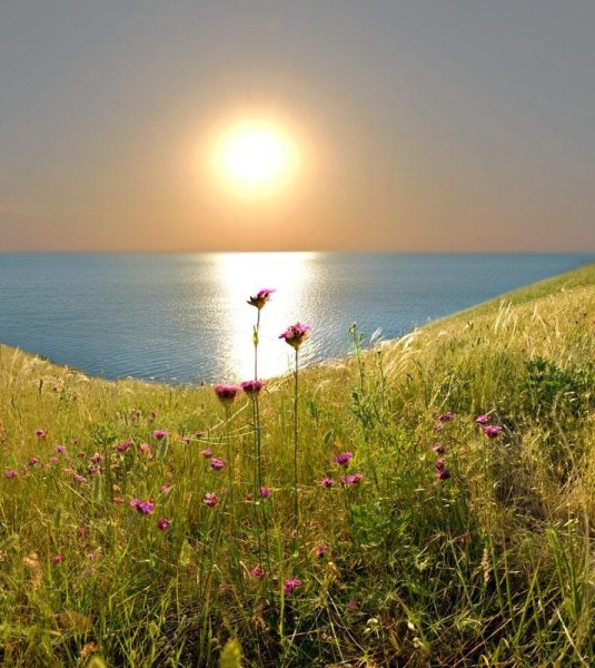 Светлое солнце