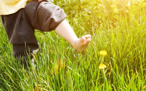 Хождение босиком