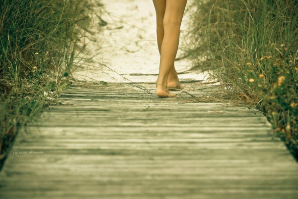 Дети ходят по полям