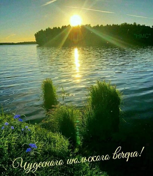 Луг солнце