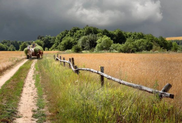 Проселочная дорога в деревне
