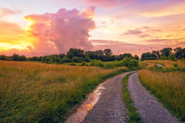 Дорога Проселочная лес поле