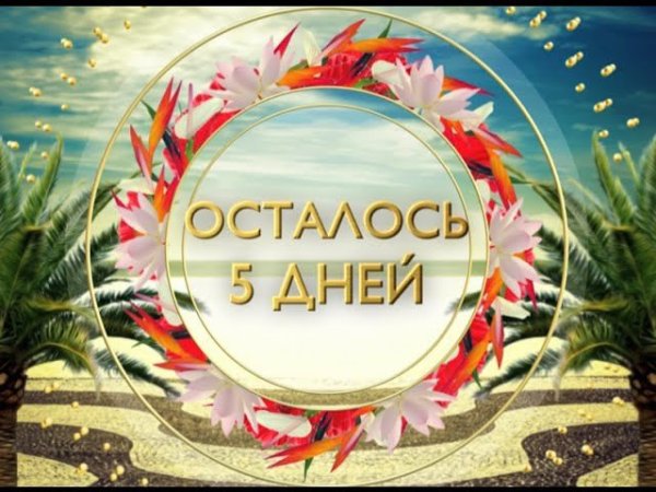 До следующего лета осталось