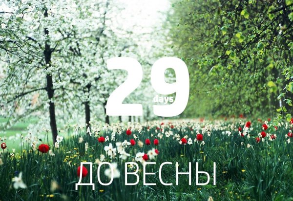 До лета осталось Мем