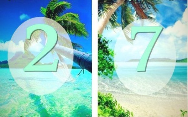 Дней до лета