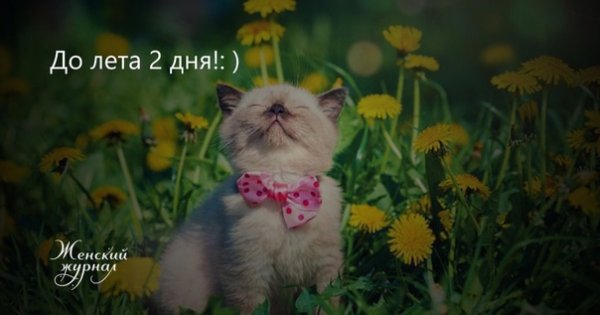 Обувь на природе