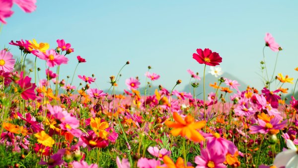 Красивое море