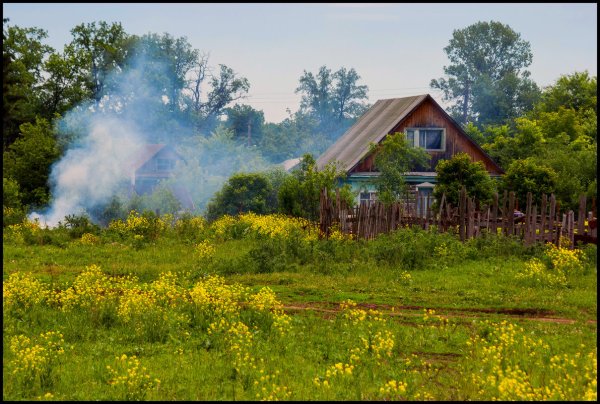 Семья в уютном интерьере