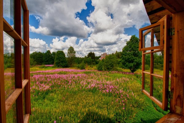 Семья в загородном доме