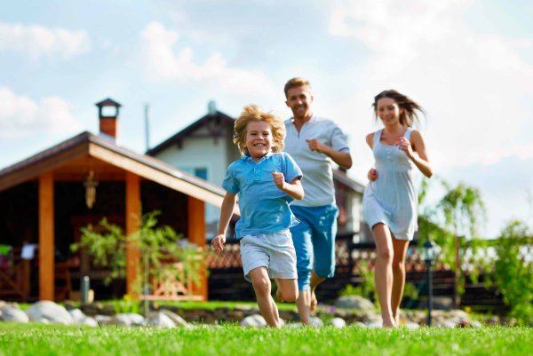 Владимир Жданов живопись