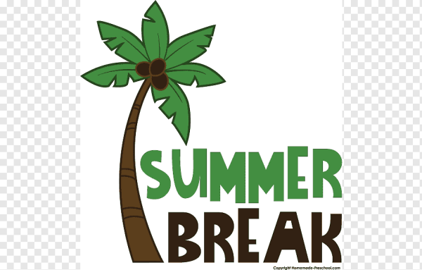 Мое лето логотип