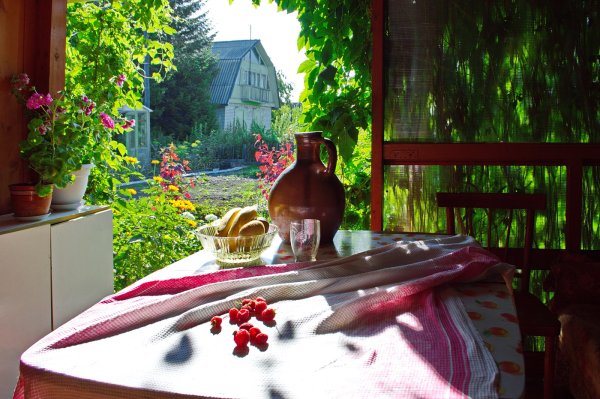 Осень домашний уют