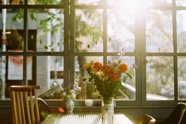 Уютная природа