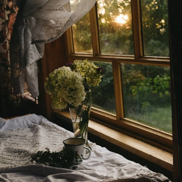 Солнечное утро в деревне