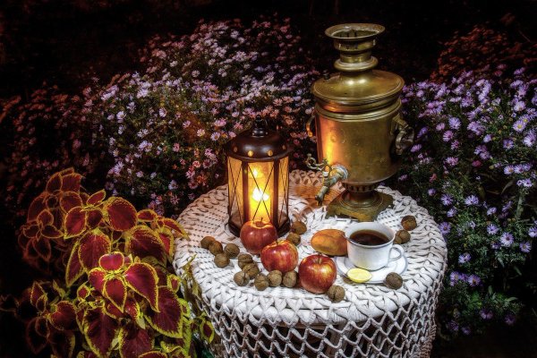 Летнее утро в городе