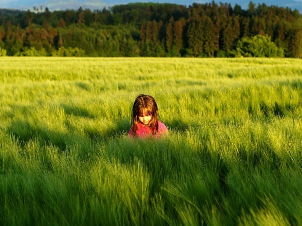 Лето солнце жара