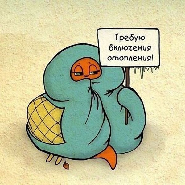 Шутки про холод