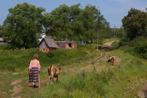 Родина деревня