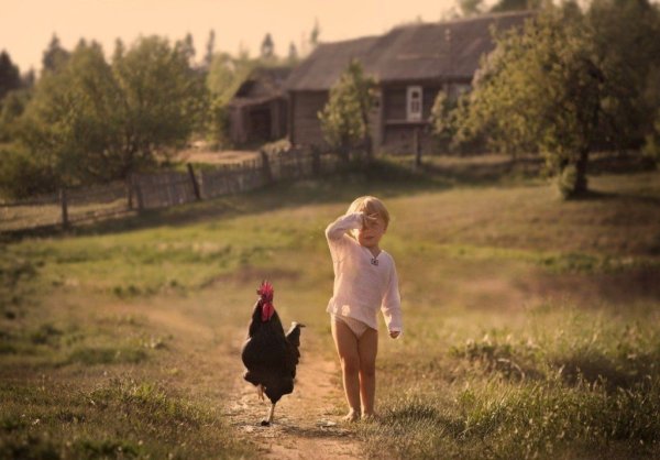 Елена Шумилова Суздаль