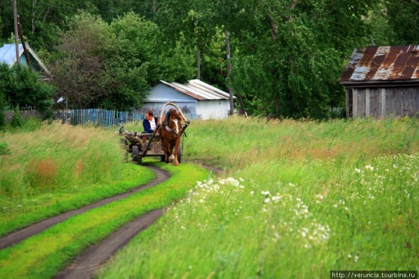 Прогулка по деревне