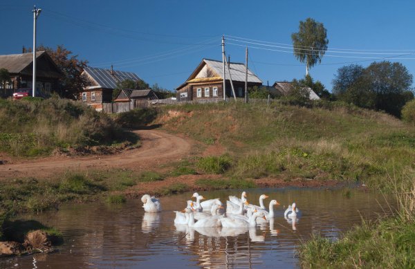 Лето у бабушки в деревне