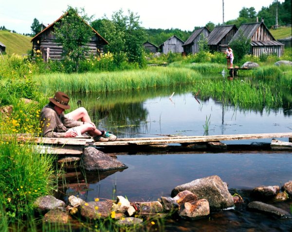 Летнее утро в деревне