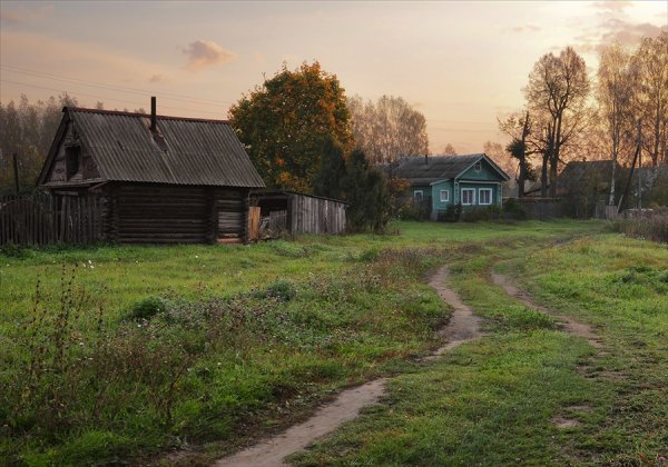 Деревня с животными