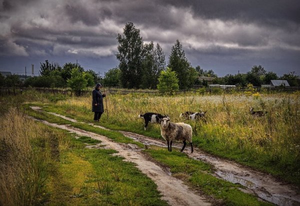 Александр Аверин лето в деревне