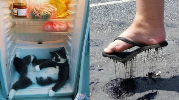 Открытки с юмором прикольные