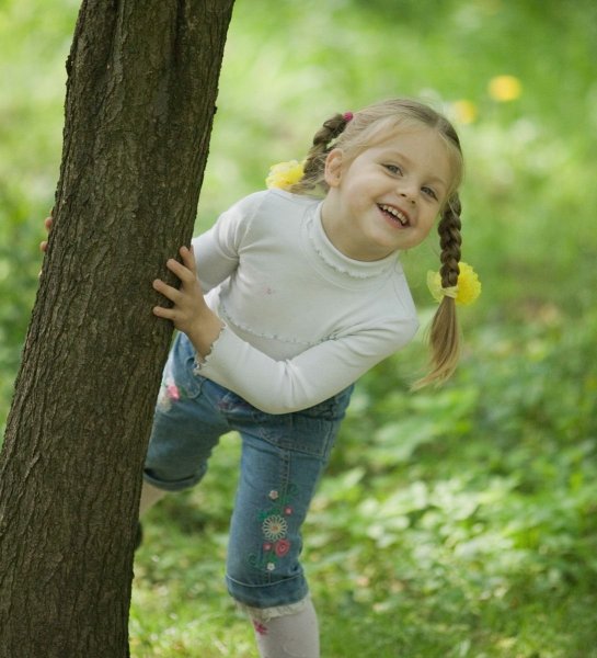 Дети собирают грибы