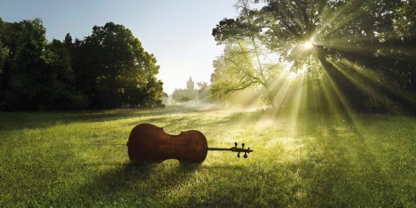 Скрипка на природе