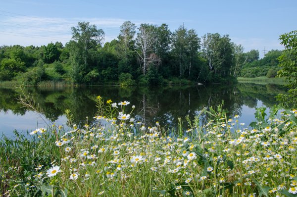 Июнь в разгаре