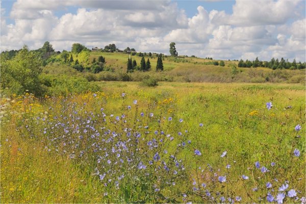 Лето в разгаре