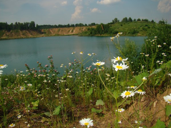 Июль лето в разгаре