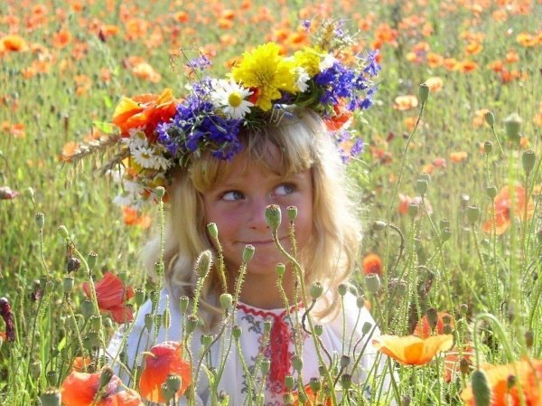 Лето картинки