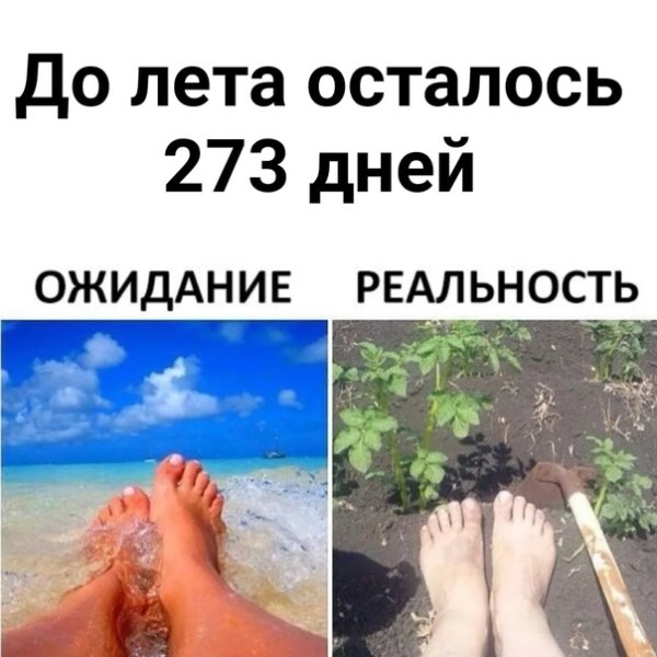 Лето ожидание реальность