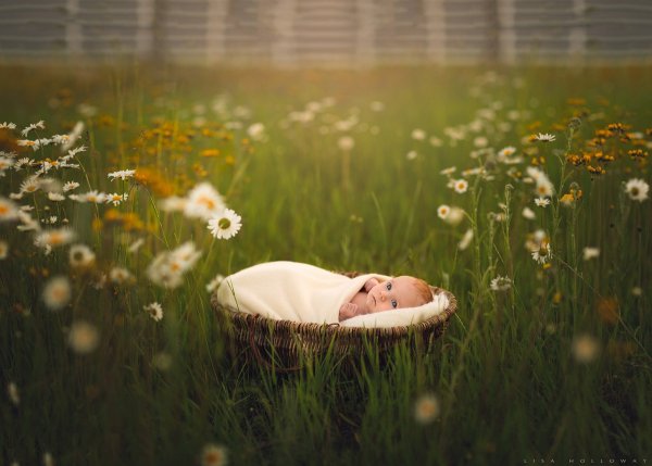 Новорождённые дети на природе