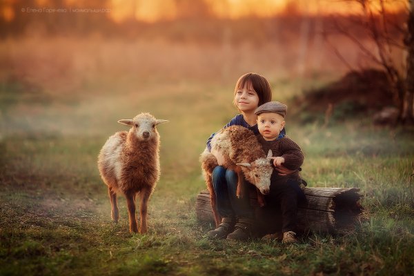 Счастливое детство в деревне