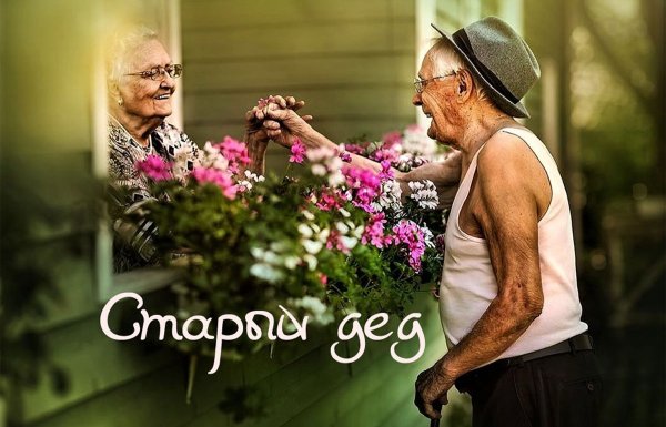 Счастливые старики
