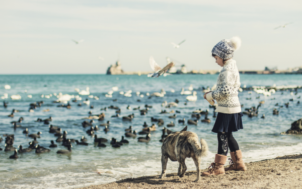 Девочка с собакой на берегу