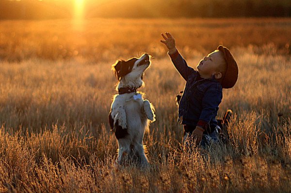 Утренняя нежность