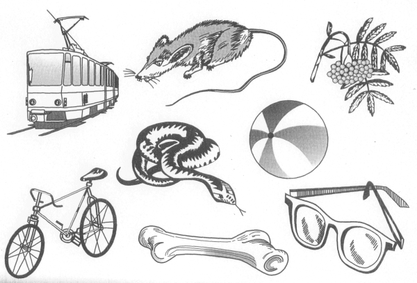 Нейропсихологическиы альбом Лурии