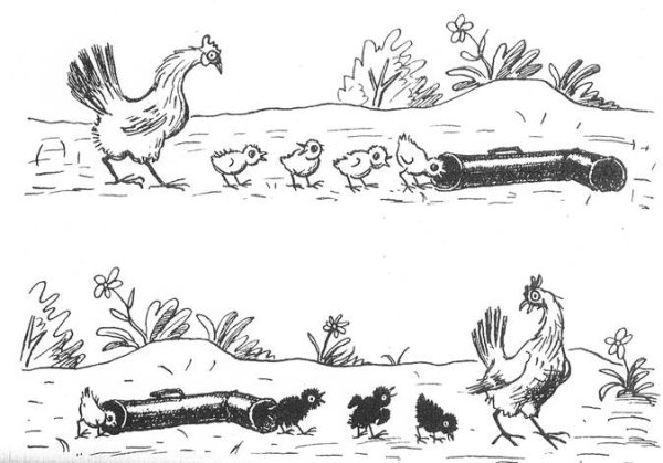 Сюжетные картины нейропсихология