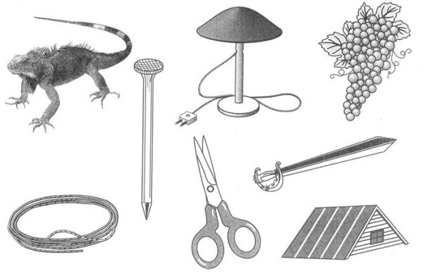 Нейропсихологический альбом Лурия