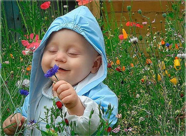 Прикольные аватарки