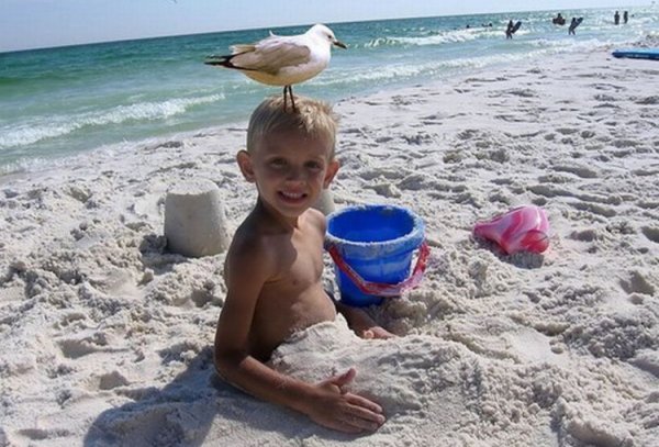 Мальчики на речке