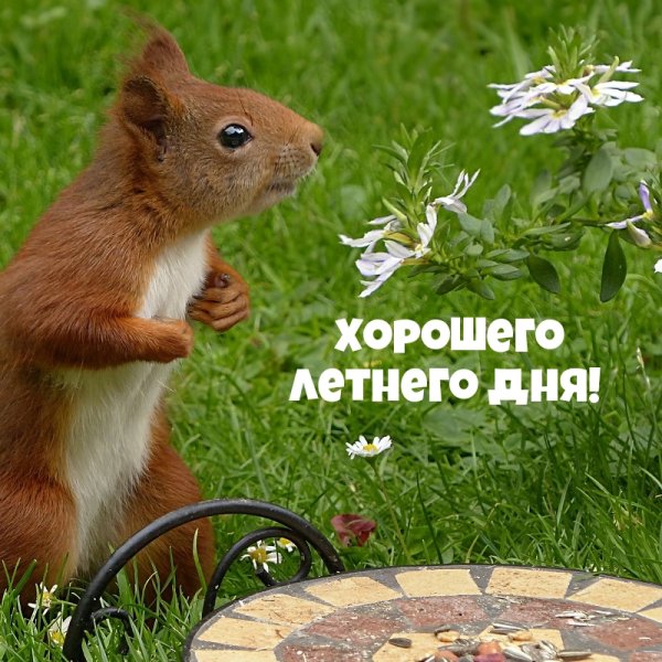 Отличного солнечного настроения