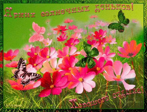 Доброго солнечного дня