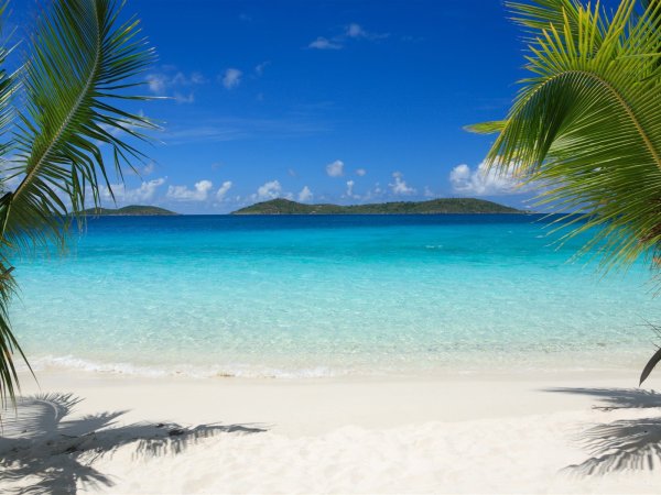 Клубника Малинка